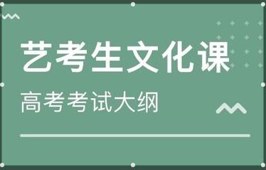 艺考文化课冲刺班